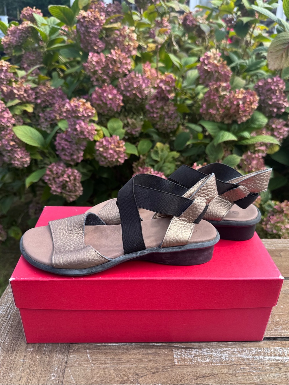 Women's Arche Aurine Strappy Sandal - 38